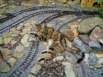 Purzel9.JPG (244.19 KiB) 1968 mal betrachtet Purzel9.JPG