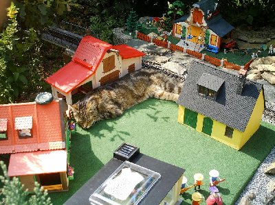 Purzel2.JPG (183.25 KiB) 1814 mal betrachtet Purzel2.JPG