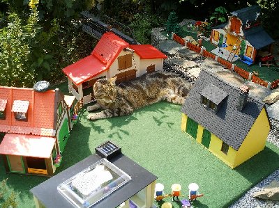 Purzel5.JPG (183.76 KiB) 1881 mal betrachtet Purzel5.JPG