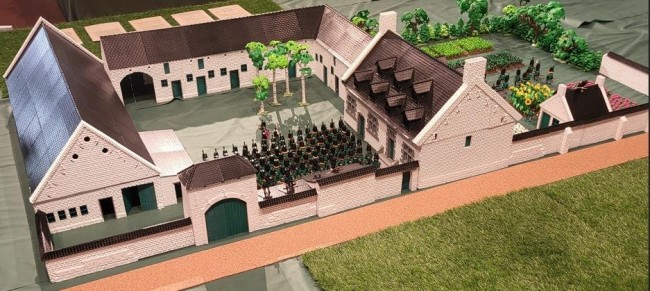w14.jpg