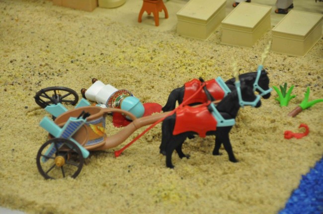 comp_DSC_0368.jpg