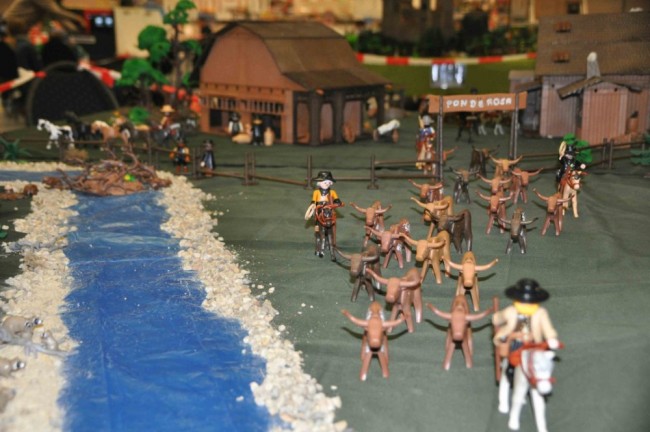 comp_DSC_0419.jpg