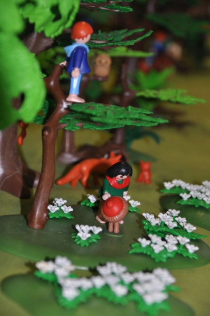 comp_DSC_0280.jpg