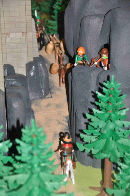 comp_DSC_0262.jpg