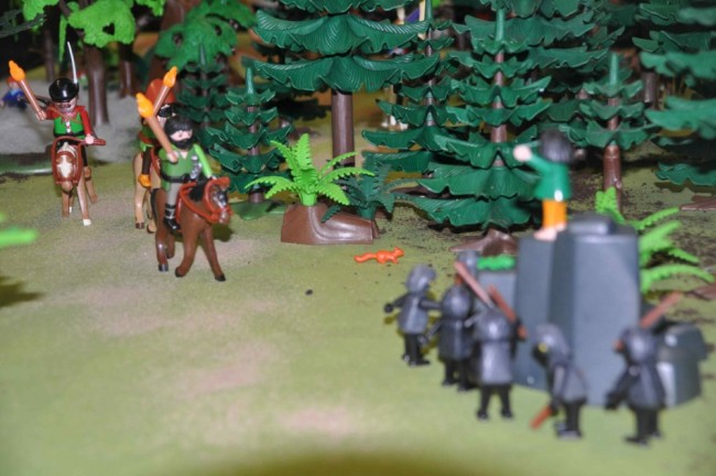 comp_DSC_0274.jpg