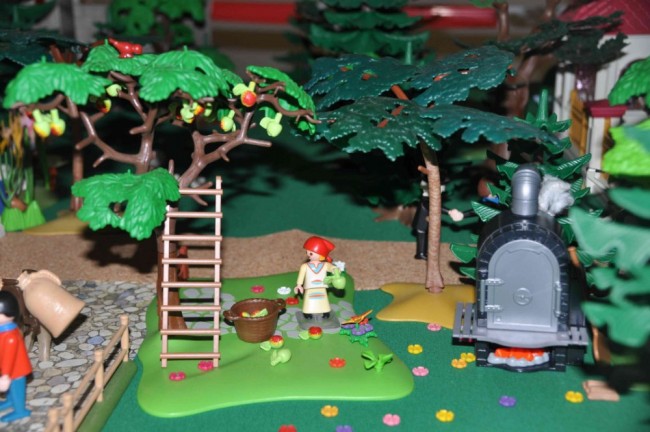 comp_DSC_0478.jpg