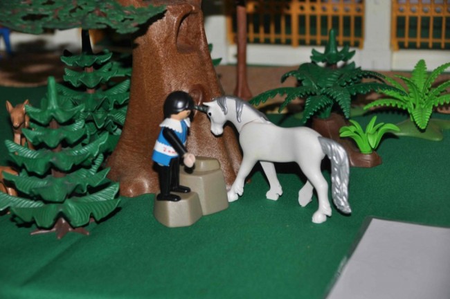 comp_DSC_0473.jpg