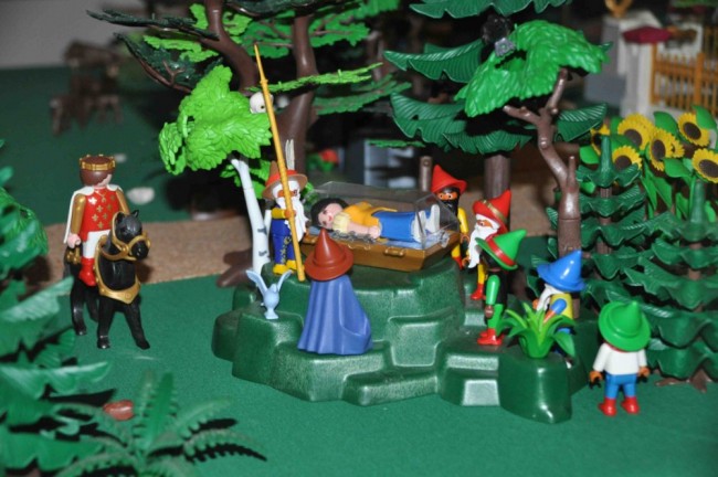 comp_DSC_0483.jpg