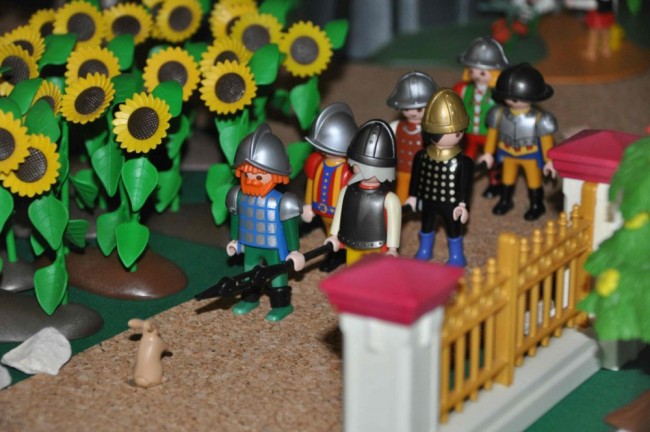 comp_DSC_0487.jpg