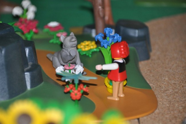 comp_DSC_0485.jpg