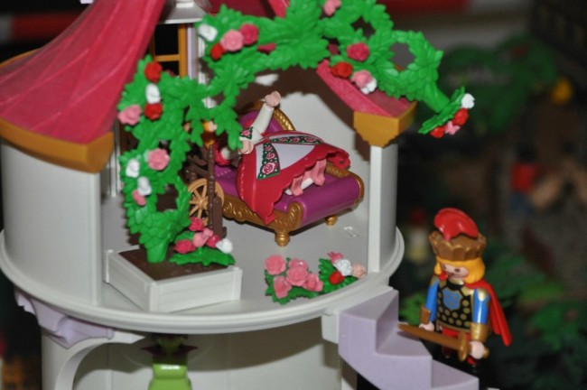 comp_DSC_0500.jpg