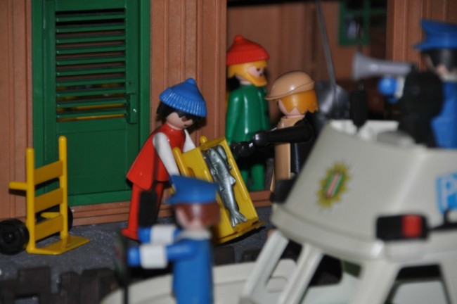comp_DSC_0457.jpg