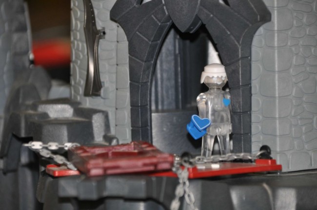 comp_DSC_0289.jpg