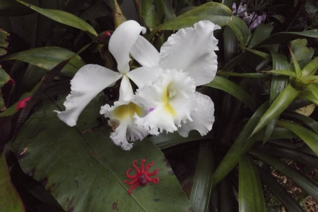 DSCF4832.JPG