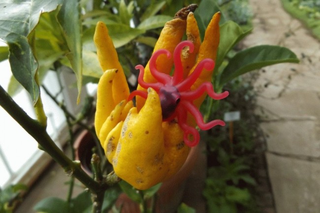 DSCF4845.JPG