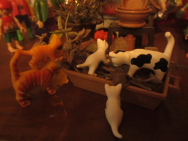 03-11 - Nur noch 5 Katzen, rote Babykatze auf Mama.jpg