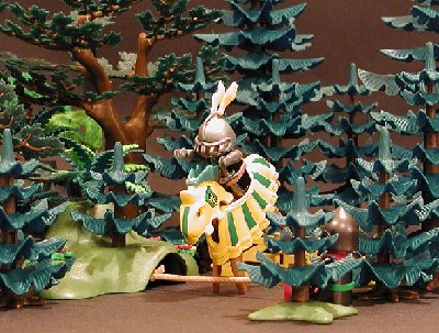 15-sturz.jpg