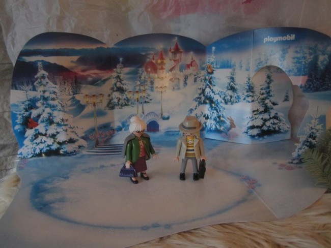 10 - Inspektion der Eisfläche.jpg