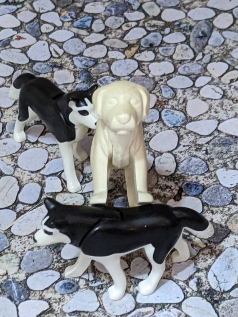 Hunde_klein.jpg