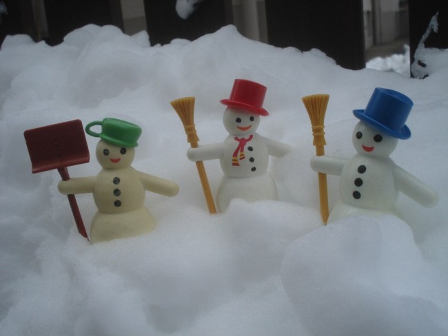 xJanuar 2025 Winter .JPG