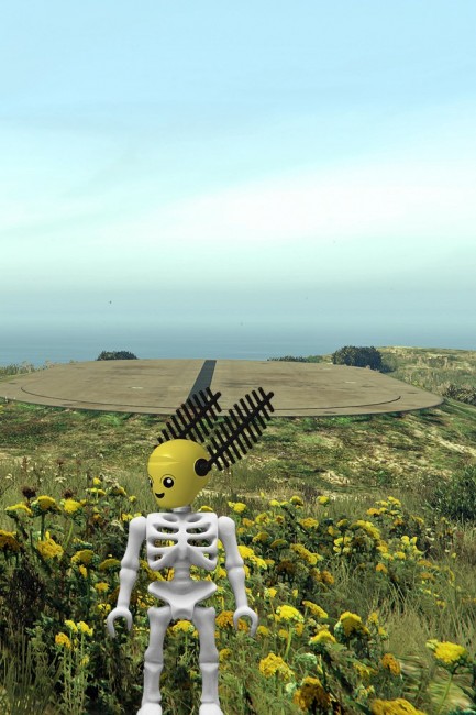 Bumblebee_04.jpg