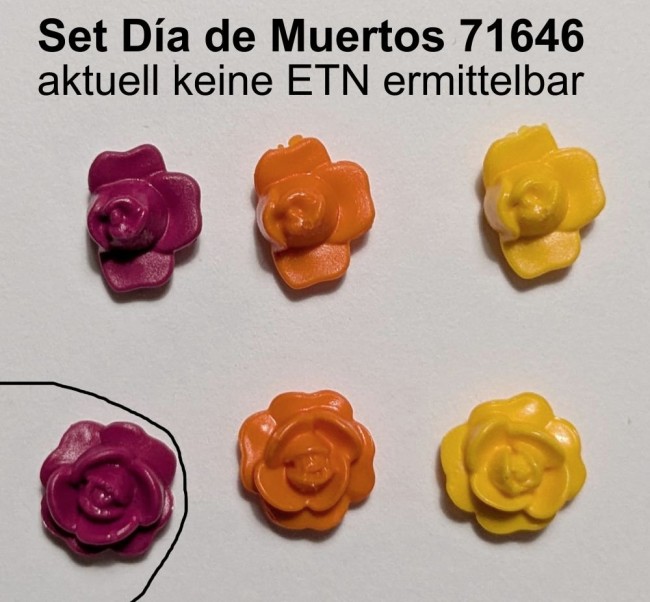 71646.jpg