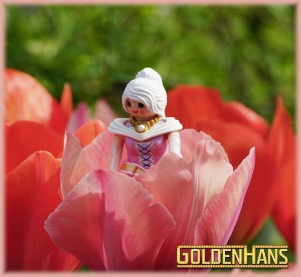 Tulpenkoenigin.jpg