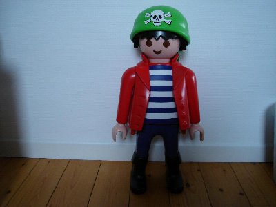 Pirat.jpg (56.07 KiB) 846 mal betrachtet Pirat.jpg