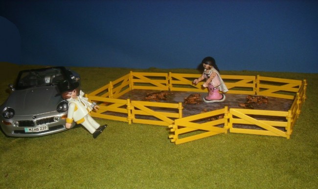 Bild 13 Schweinchen im Schlamm raufen b.JPG