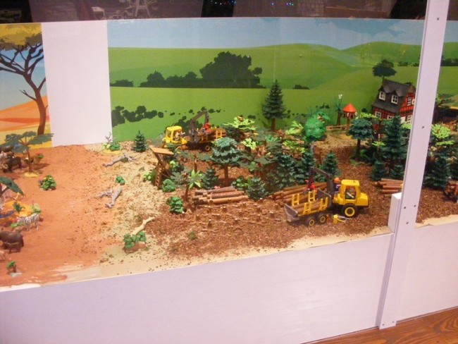 DSCF5973.JPG