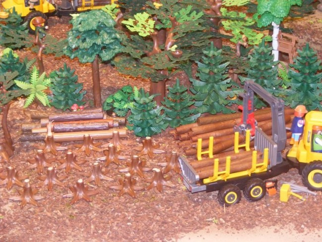 DSCF5975.JPG