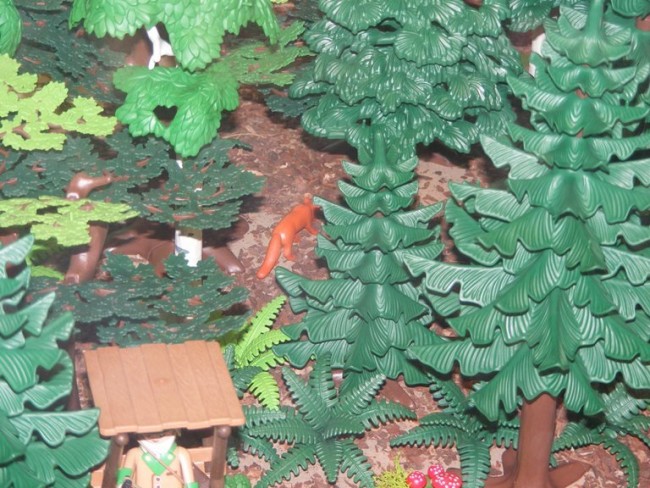 DSCF5980.JPG
