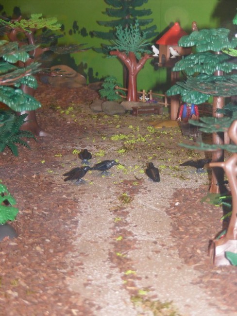 DSCF5982.JPG