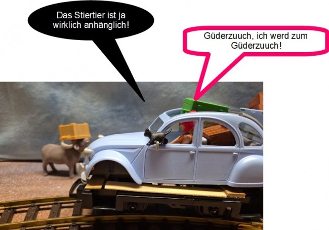 78.jpg