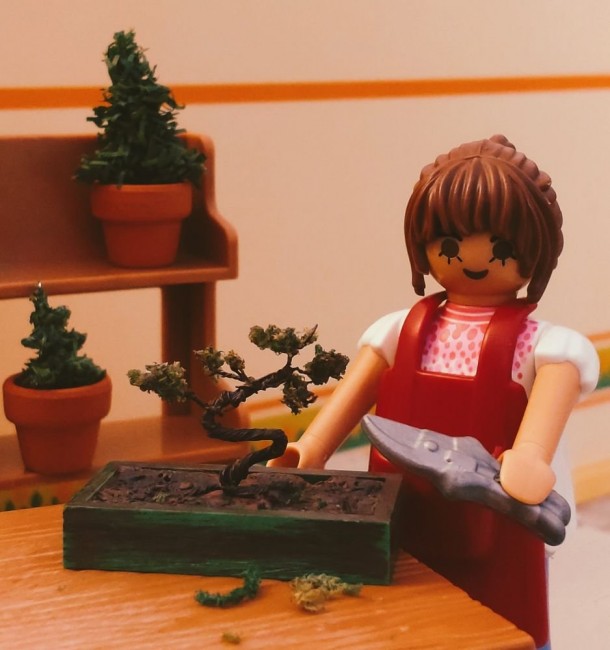 Bonsai-Gärtnerin.JPG