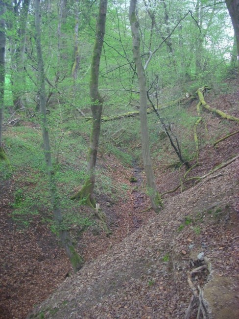 Schlucht aufwärts (vom Weg aus).JPG