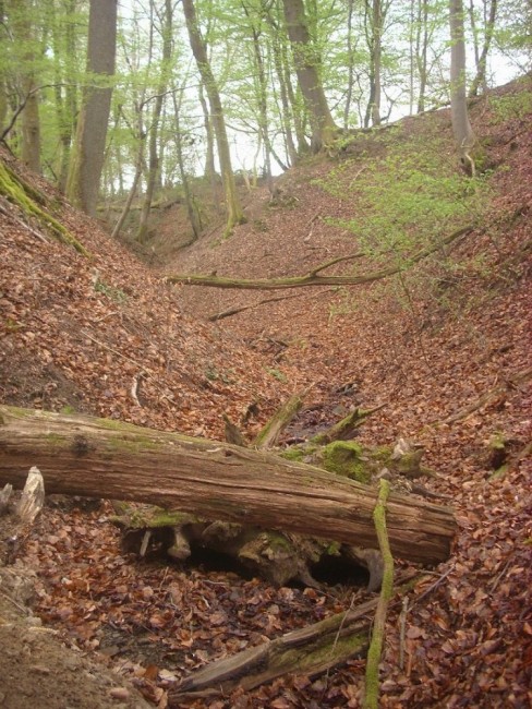 Schlucht aufwärts.JPG