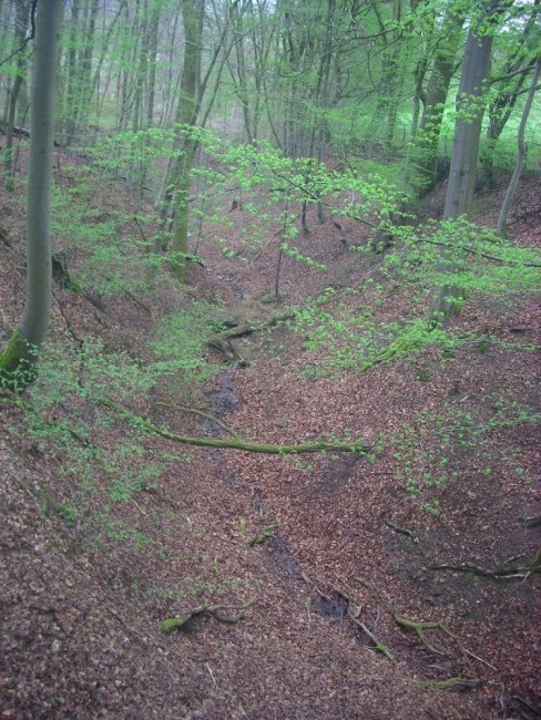 Schlucht abwärts (vom Weg aus).JPG