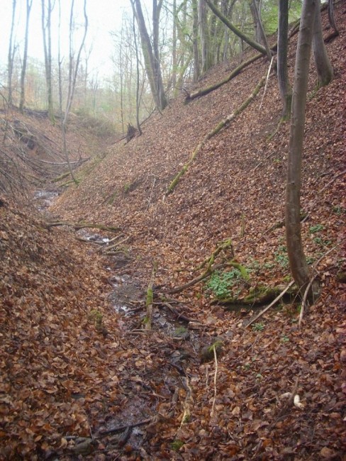 Schlucht abwärts.JPG