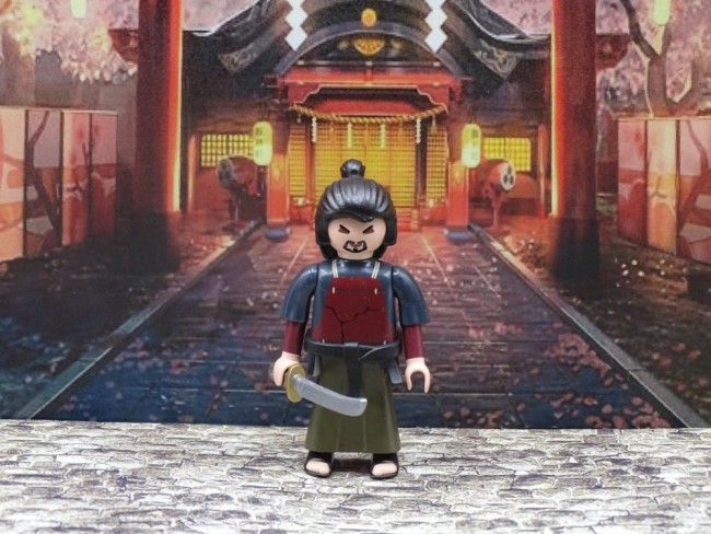 shogun1.JPG.jpg