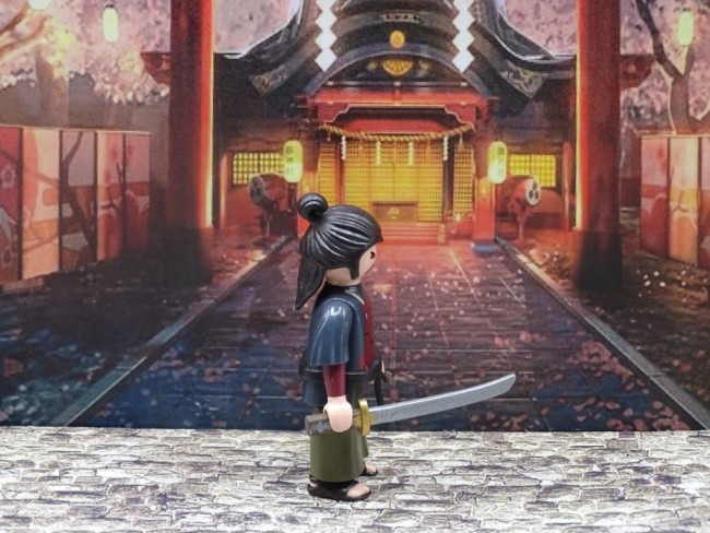 shogun2.JPG.jpg