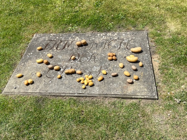 image6.jpeg