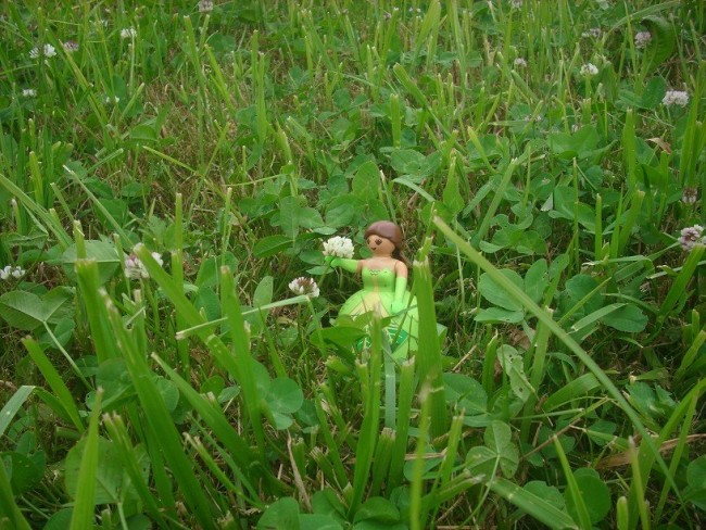 2025-06-25_Dame der Wiese.JPG
