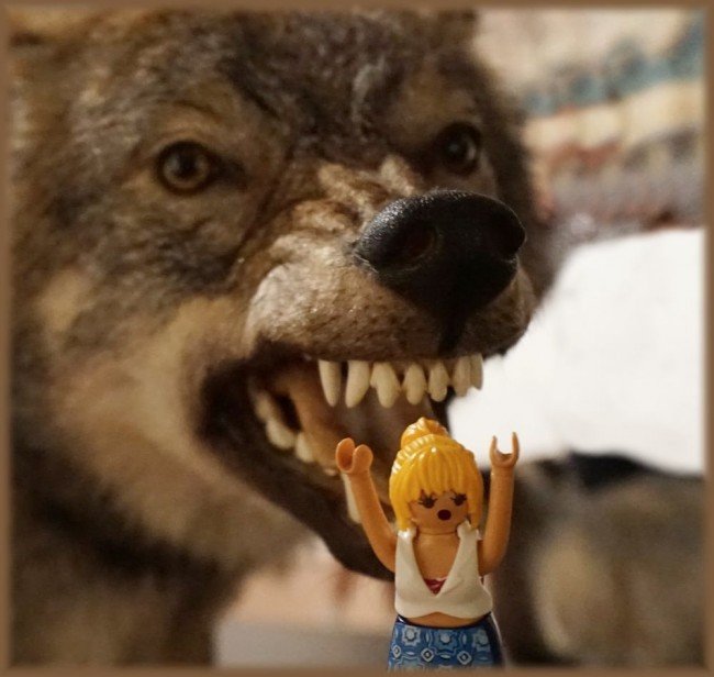 AngstvormboesenWolf.jpg