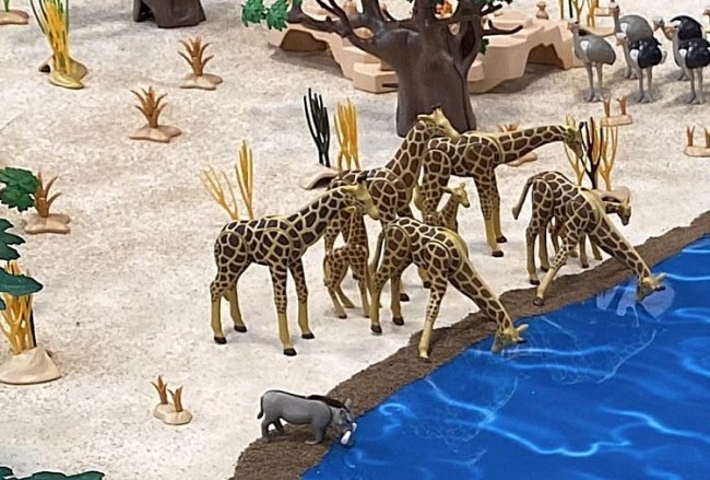 5.JPG