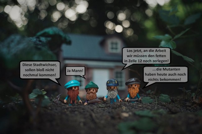 Bild 0042.jpg