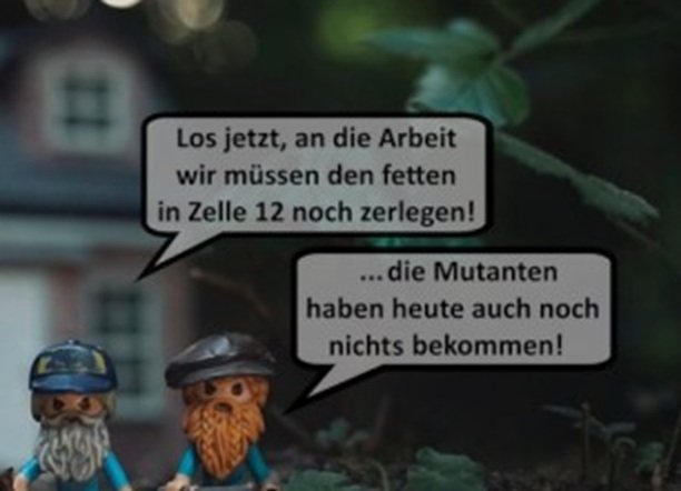 Bild 0042.jpg