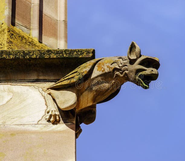 wasserspeier-auf-einer-gotischen-kathedrale-detail-eines-turms-auf-ba-des-blauen-himmels-70444208.jpg