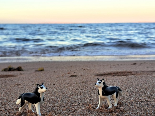 20251230_164000[1] Ägypten 3_klein.jpg