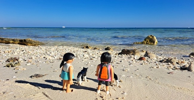 20260103_142742[1] Ägypten 1_klein.jpg